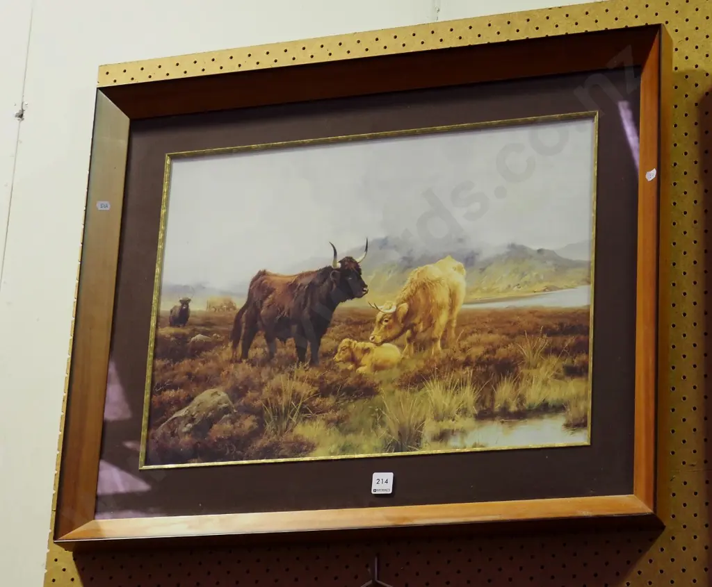 framed print - highland cattle Image 1++
