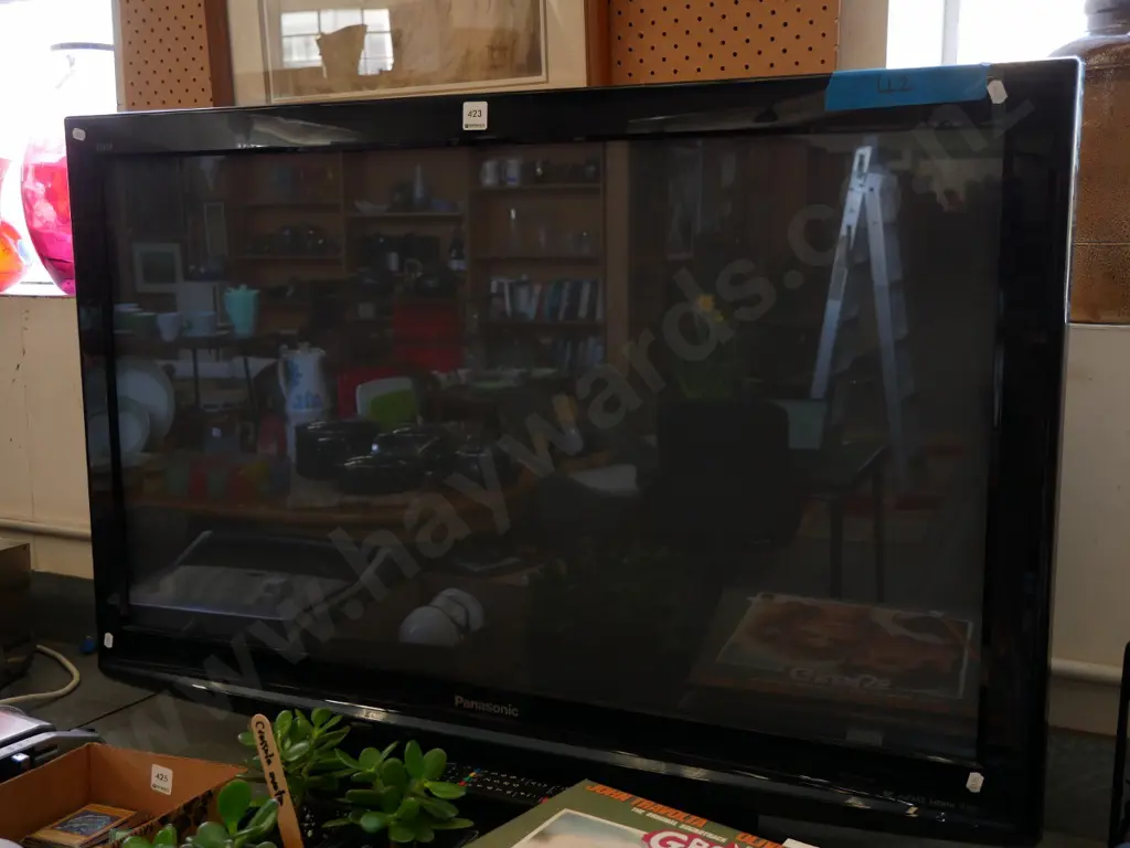 Panasonic Viera 42" TV Image 1++