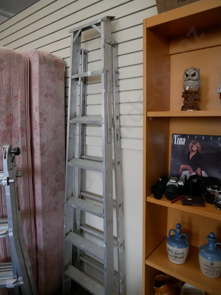 aluminium 6 step ladder Image 1++