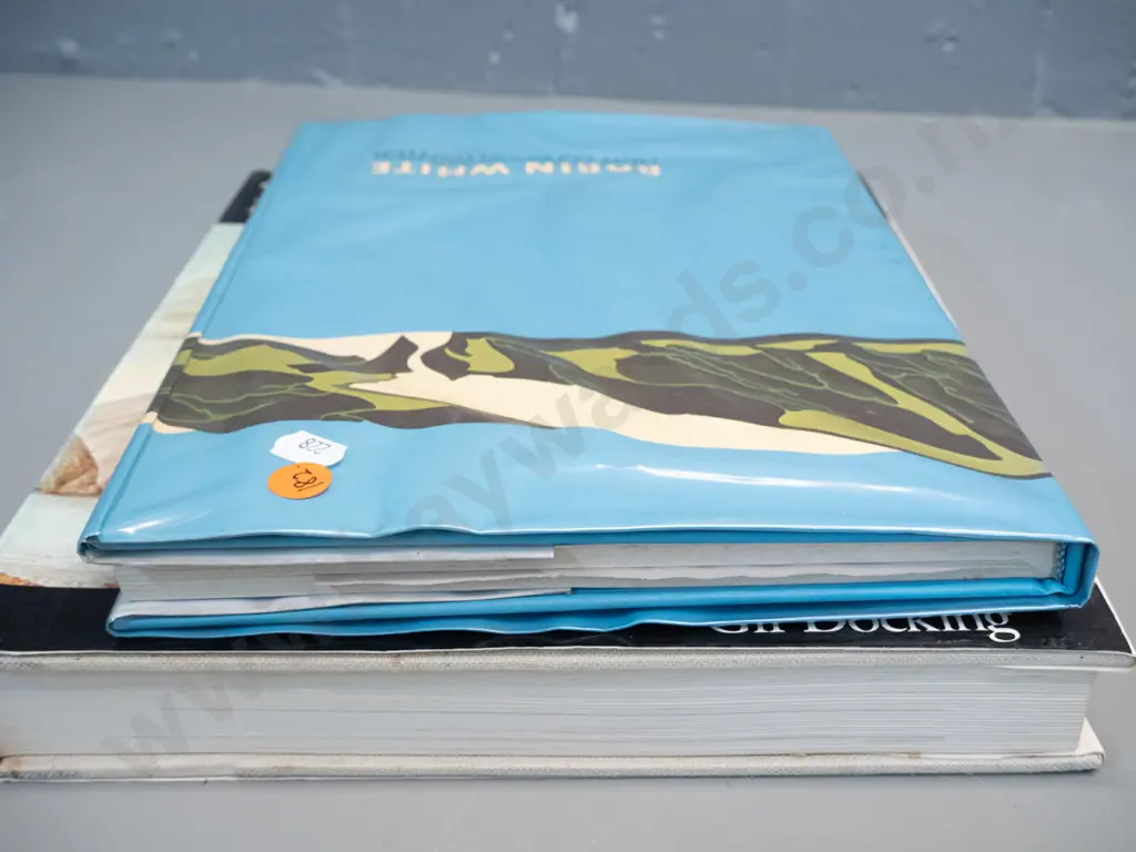 2 books "Robin White -New Zealand Painter" pub. 1981, warping of DJ due to plastic cover - and 200 Years of NZ Painting, Image 1++
