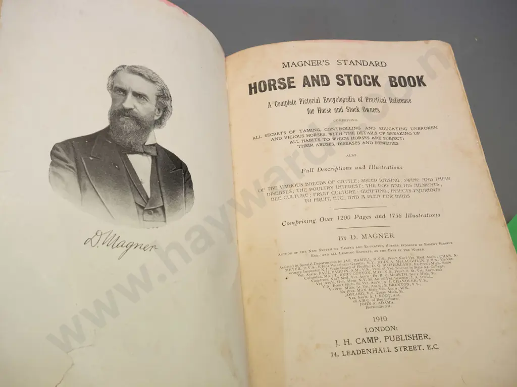vintage book - Magner's Standard Horse and Stock Book - pub. 1910 - wear and fraying, some leaves have damage, foxing Image 1++