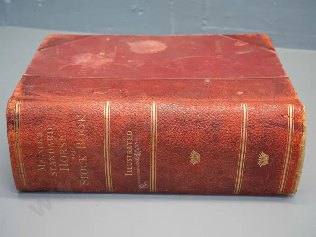 vintage book - Magner's Standard Horse and Stock Book - pub. 1910 - wear and fraying, some leaves have damage, foxing Image 1++