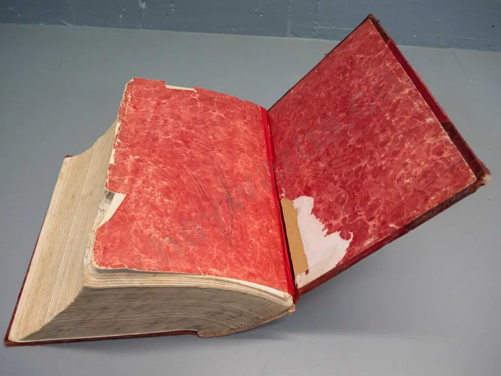 vintage book - Magner's Standard Horse and Stock Book - pub. 1910 - wear and fraying, some leaves have damage, foxing Image 1++