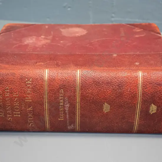 vintage book - Magner's Standard Horse and Stock Book - pub. 1910 - wear and fraying, some leaves have damage, foxing