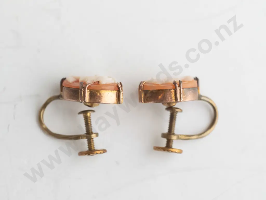 pair of 9ct screw on cameo earrings Image 1++
