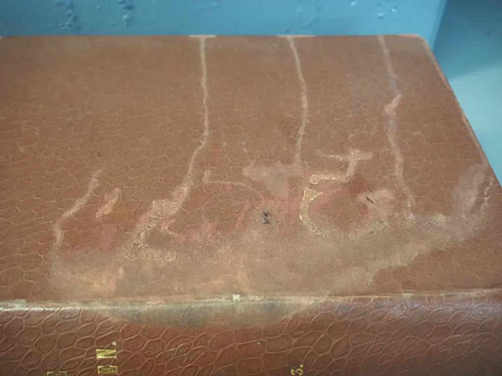 5 large annual bound volumes of "The Gardener" magazine from 1892 thru 1896 - some wear and foxing Image 1++
