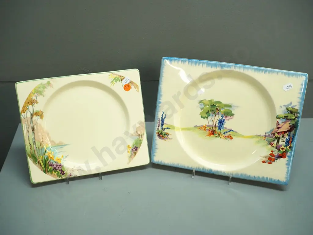 2 Royal Staffordshire Biarritz rectangular plates, larger is W-210 L-270 Image 1++