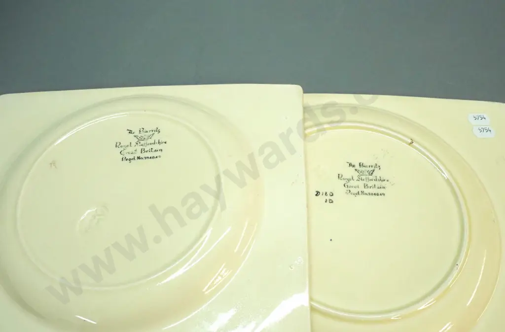 2 Royal Staffordshire Biarritz rectangular plates, larger is W-210 L-270 Image 1++