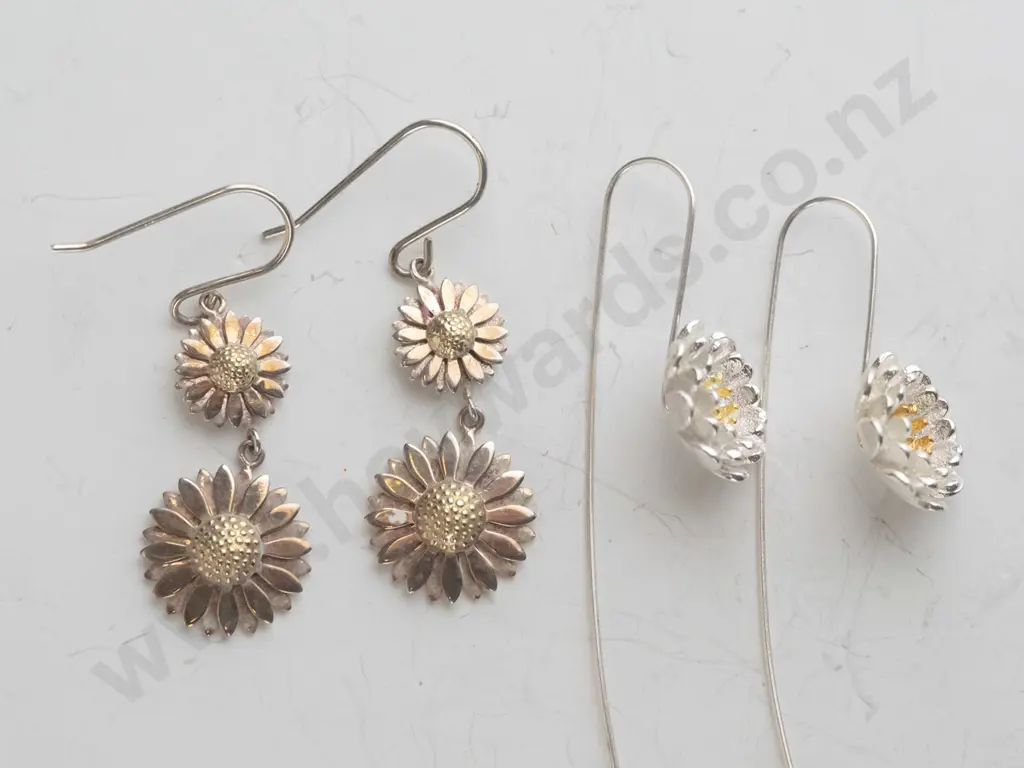 2 pairs of earrings Image 1++