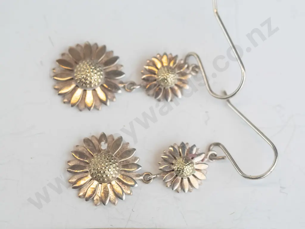 2 pairs of earrings Image 1++