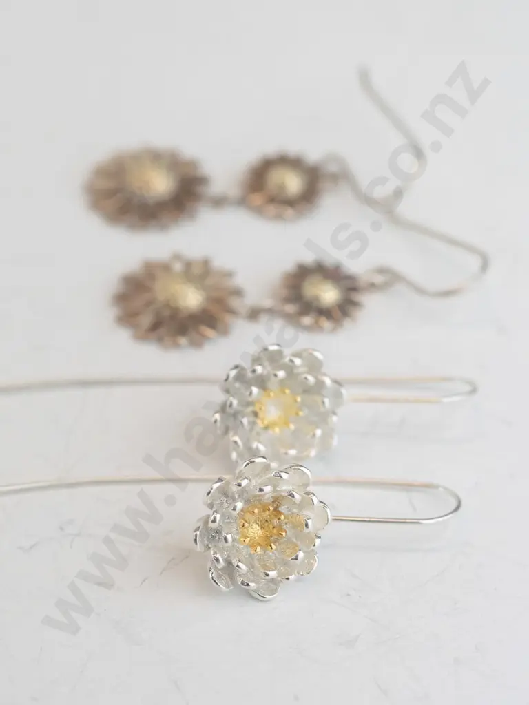 2 pairs of earrings Image 1++