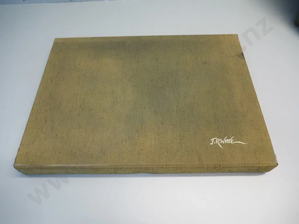book in clamshell case - Jonathan White's New Zealand, signed limited edition 125/350 - pub. 1986. Minor foxing, ribbon Image 1++