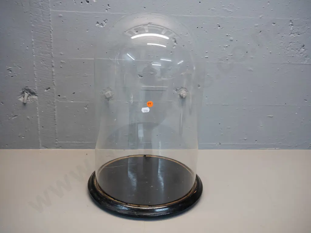 vintage large glass display dome on wooden base H-480 Base D-300 Image 1++