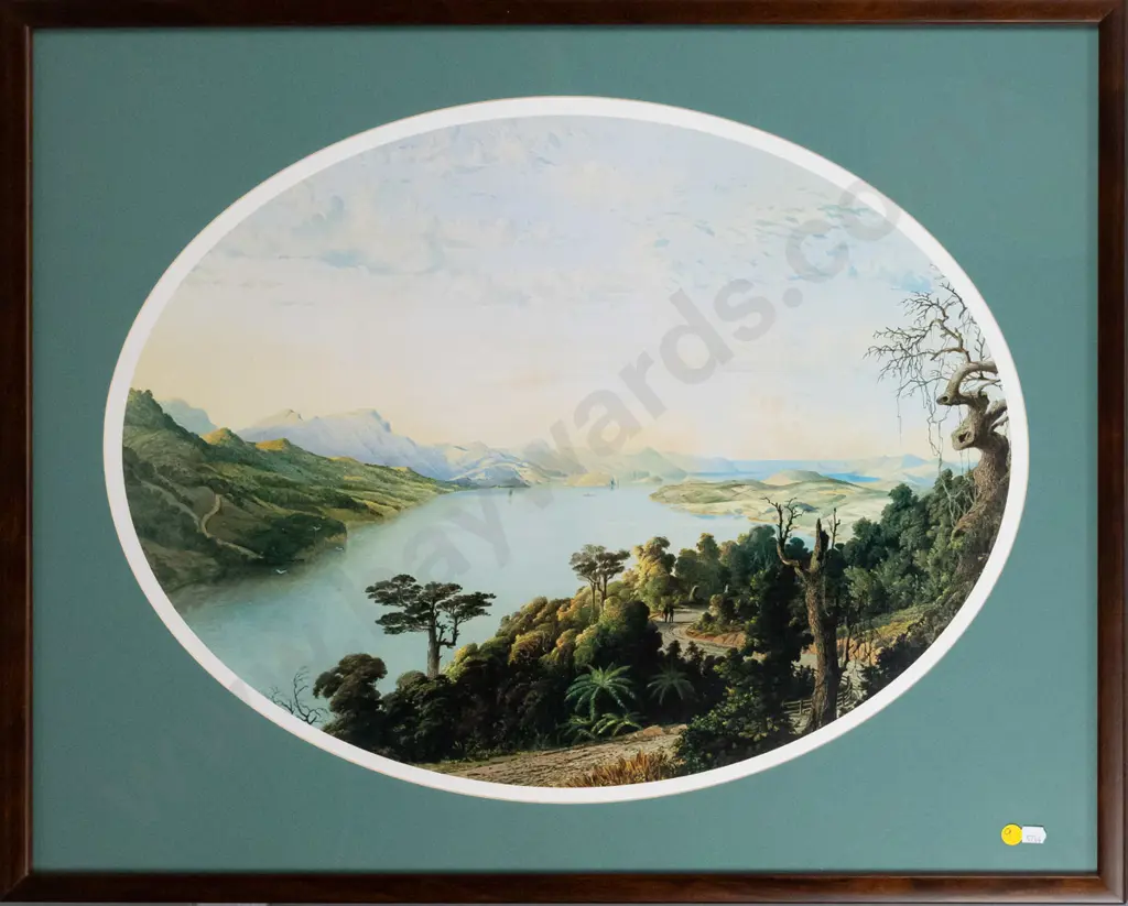 framed historic print - Otago Harbour - H-460 W-610 Image 1++