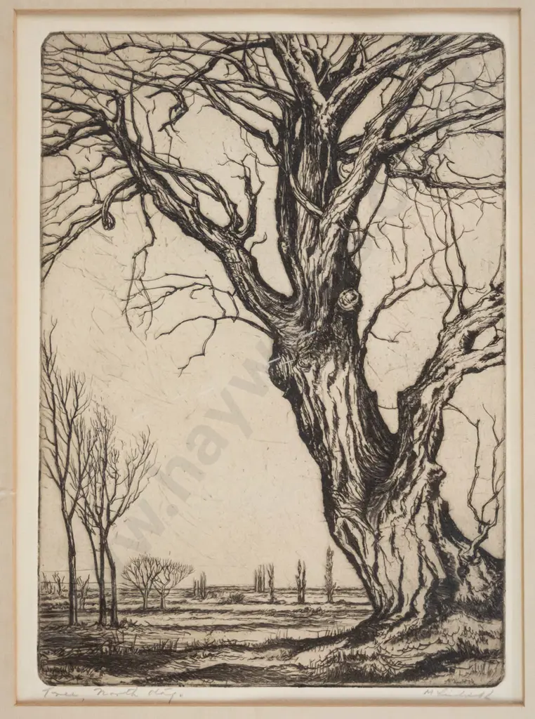 AH McLintock - framed etching "Tree North Otago" H-230 W-160 Image 1++