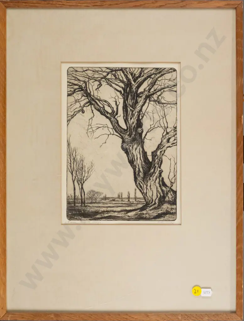 AH McLintock - framed etching "Tree North Otago" H-230 W-160 Image 1++