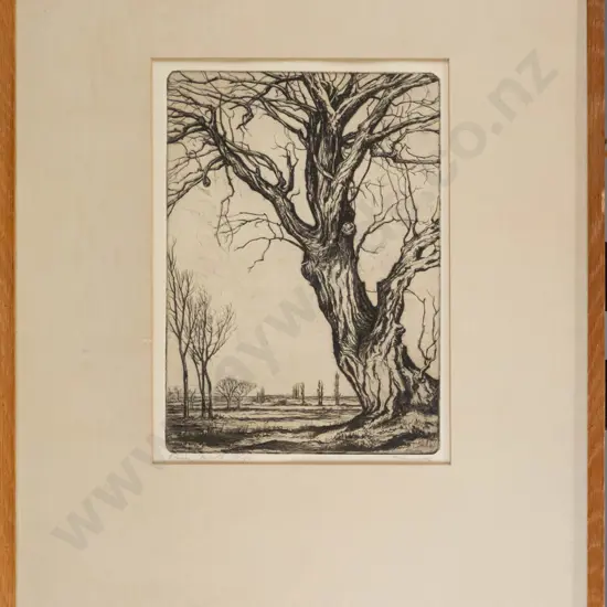 AH McLintock - framed etching "Tree North Otago" H-230 W-160