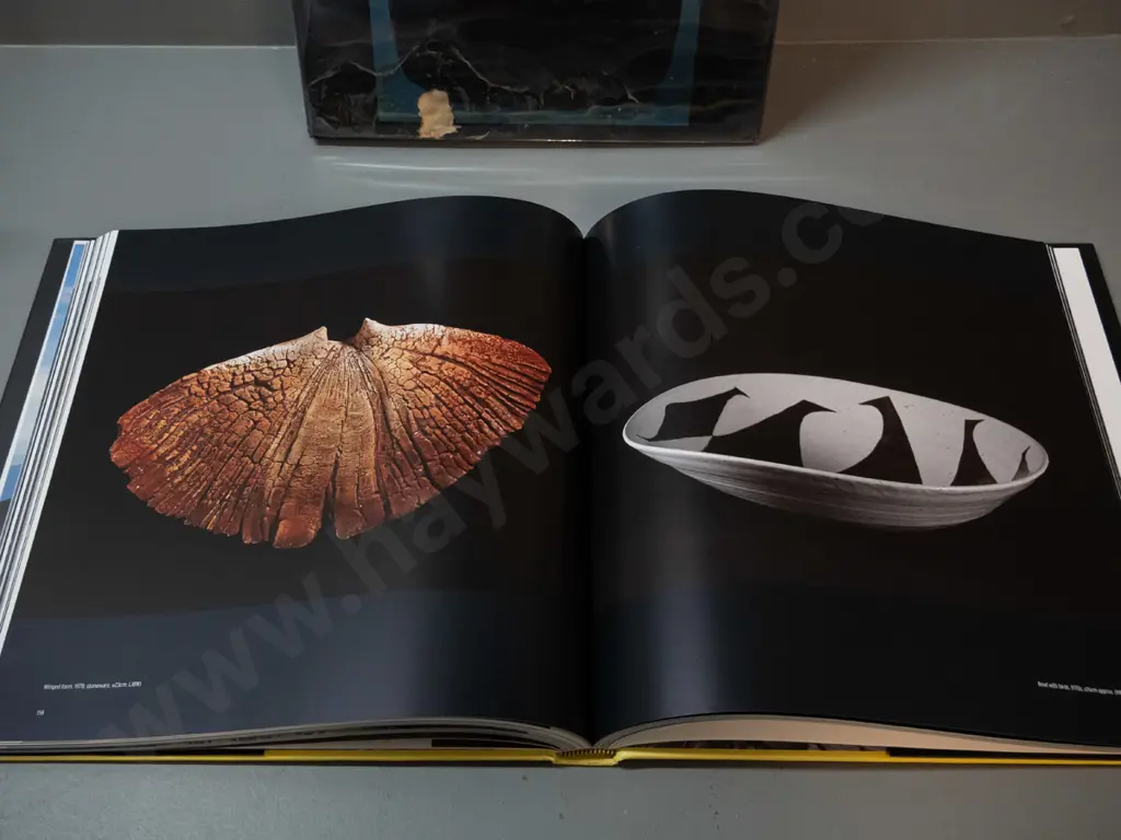 2 books - Len Castle: Making the Molecules Dance pub. Lopdell House Gallery 2008 & Len Castle Potter - pub. Sang Image 1++