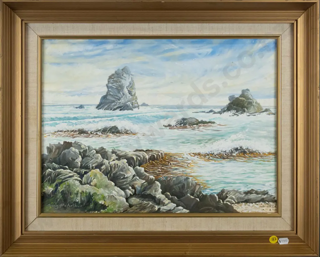 Doug McArthur - framed oil "The Gull Rocks Sandfly Bay" H-300 W-400 Image 1++