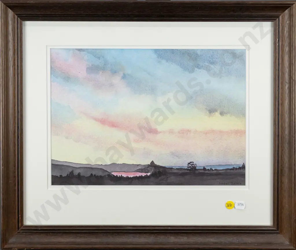 Isobel Spittle - framed watercolour "Dunedin Harbour from 413" H-220 W-320 Image 1++