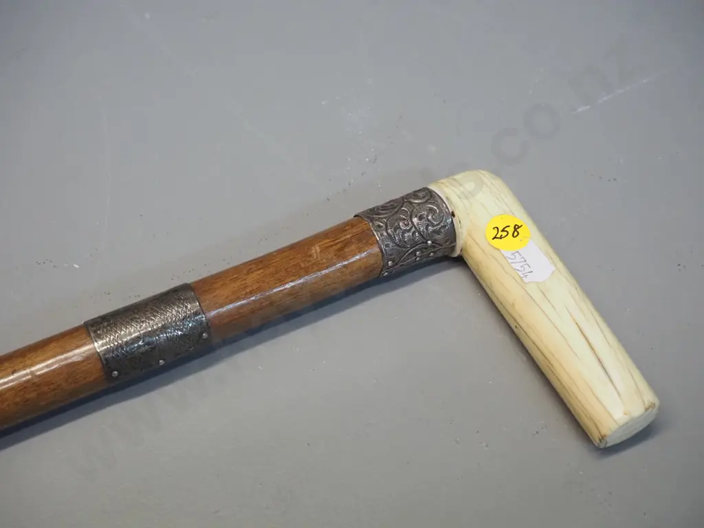 walking stick with (sterling silver? hallmarks very worn) collars and bone handle L-800 Image 1++