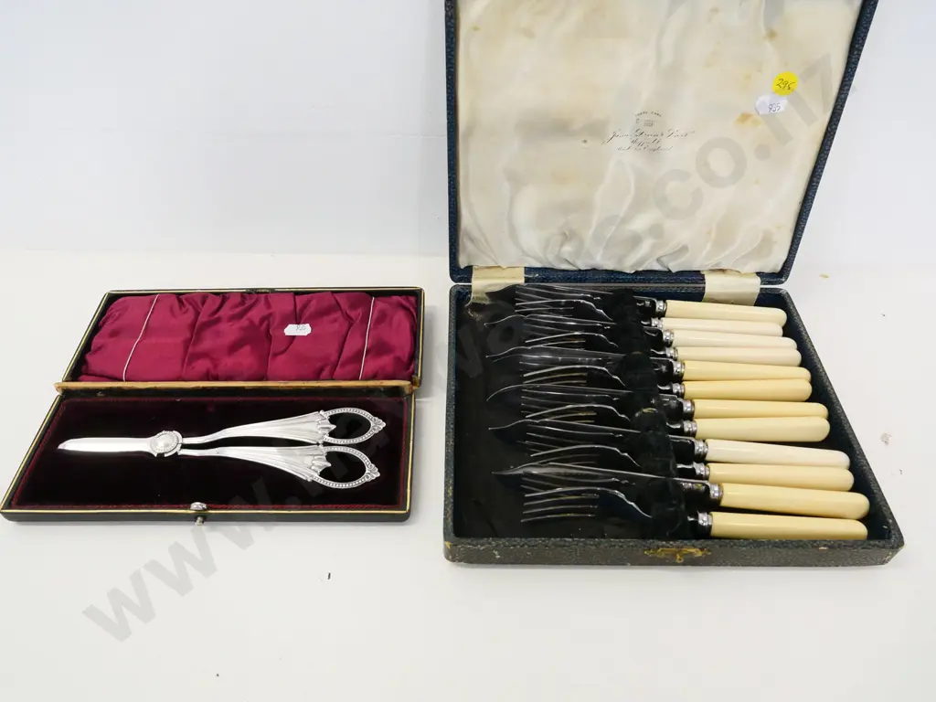 plated ware - cased set 6 place bone-handled fish knives & forks and a pair grape scissors - damage to case Image 1++