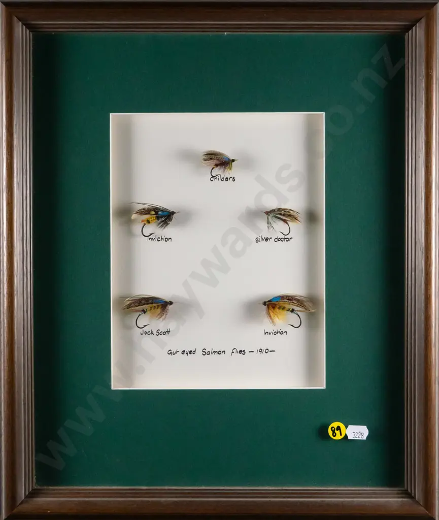 framed Gut eyed Salmon flies 1910 H-220 W-170 Image 1++
