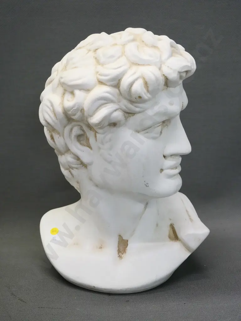 white finish terracotta head of David H-390 W-280 Image 1++