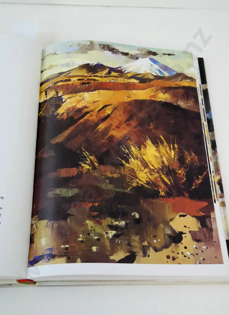 art book - Peter McIntyre's New Zealand - pub. Bush Press 1989 printing Image 1++