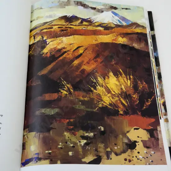 art book - Peter McIntyre's New Zealand - pub. Bush Press 1989 printing