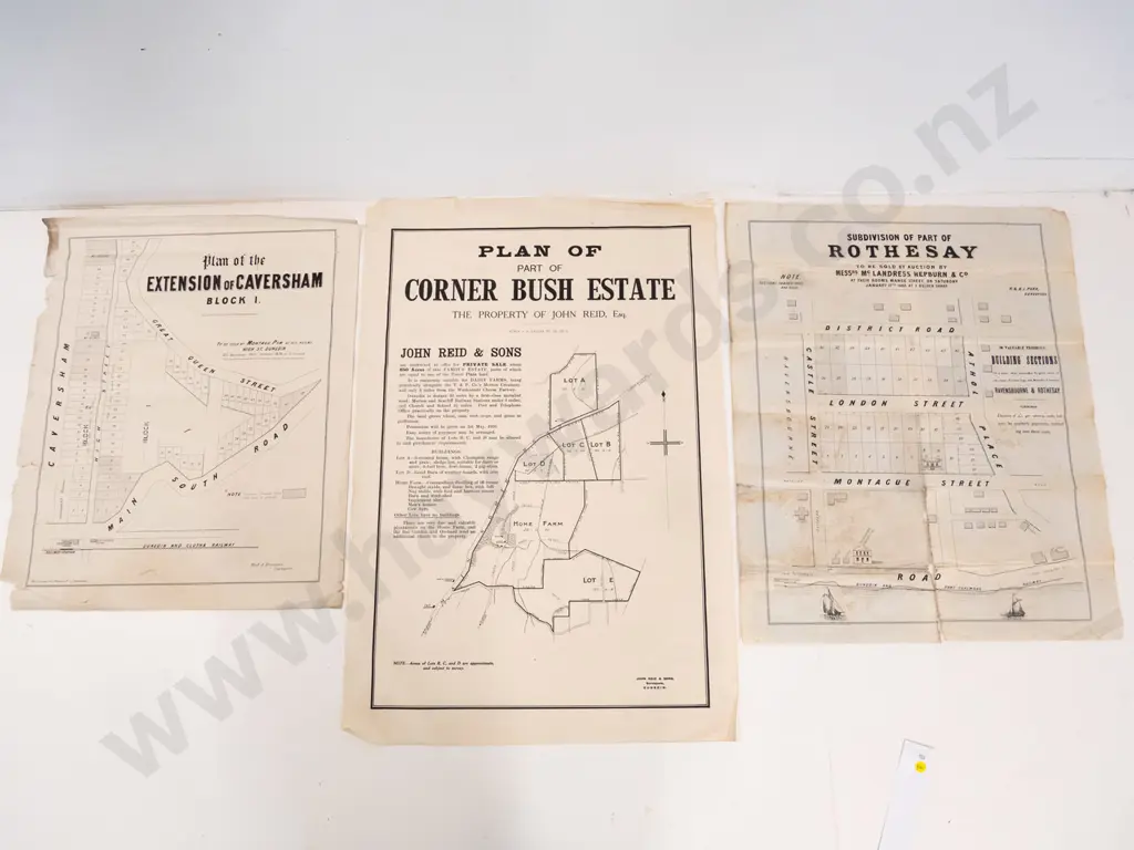 3 Dunedin area subdivision maps - Corner Bush Estate, Caversham, Rothesay - damage and foxing - largest H760 W510 Image 1++