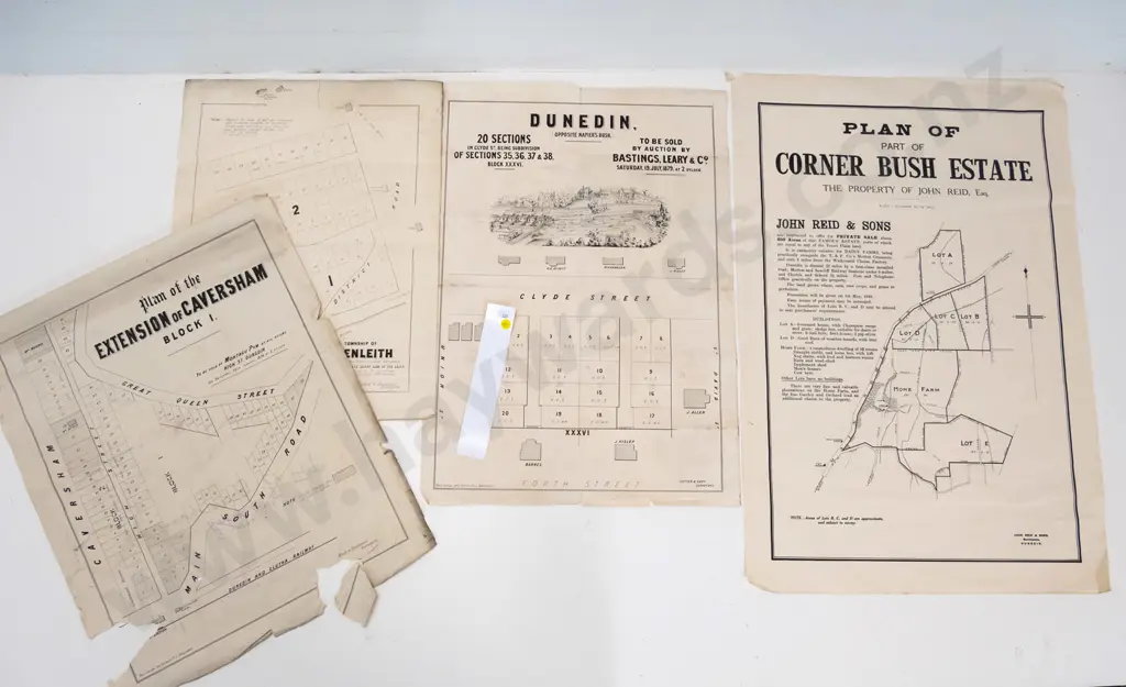4 Dunedin area subdivision maps - Corner Bush Estate, Caversham, Glenleith etc - damage and foxing - largest H760 W510 Image 1++