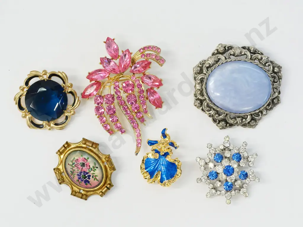 6 asstd costume brooches Image 1++