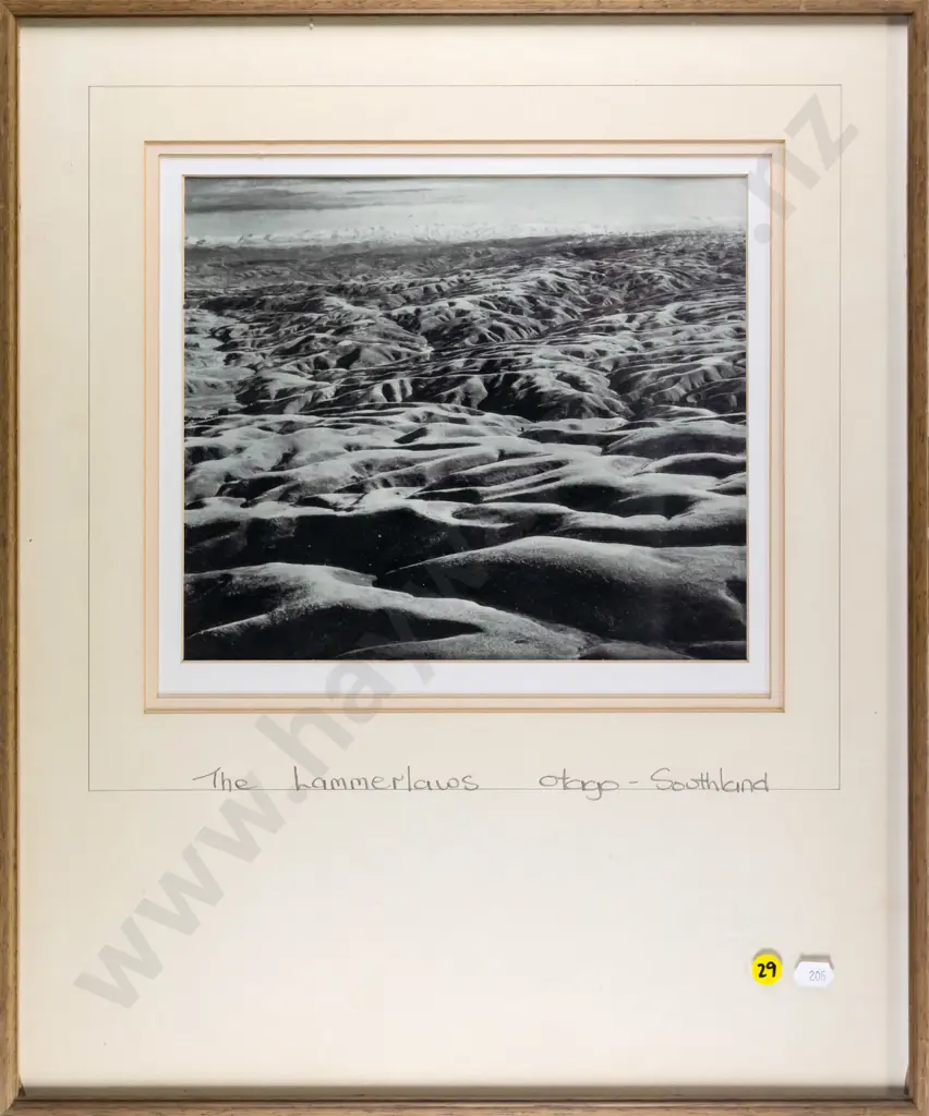 framed black & white photograph - The Lammerlaws  H-220 W-260 Image 1++