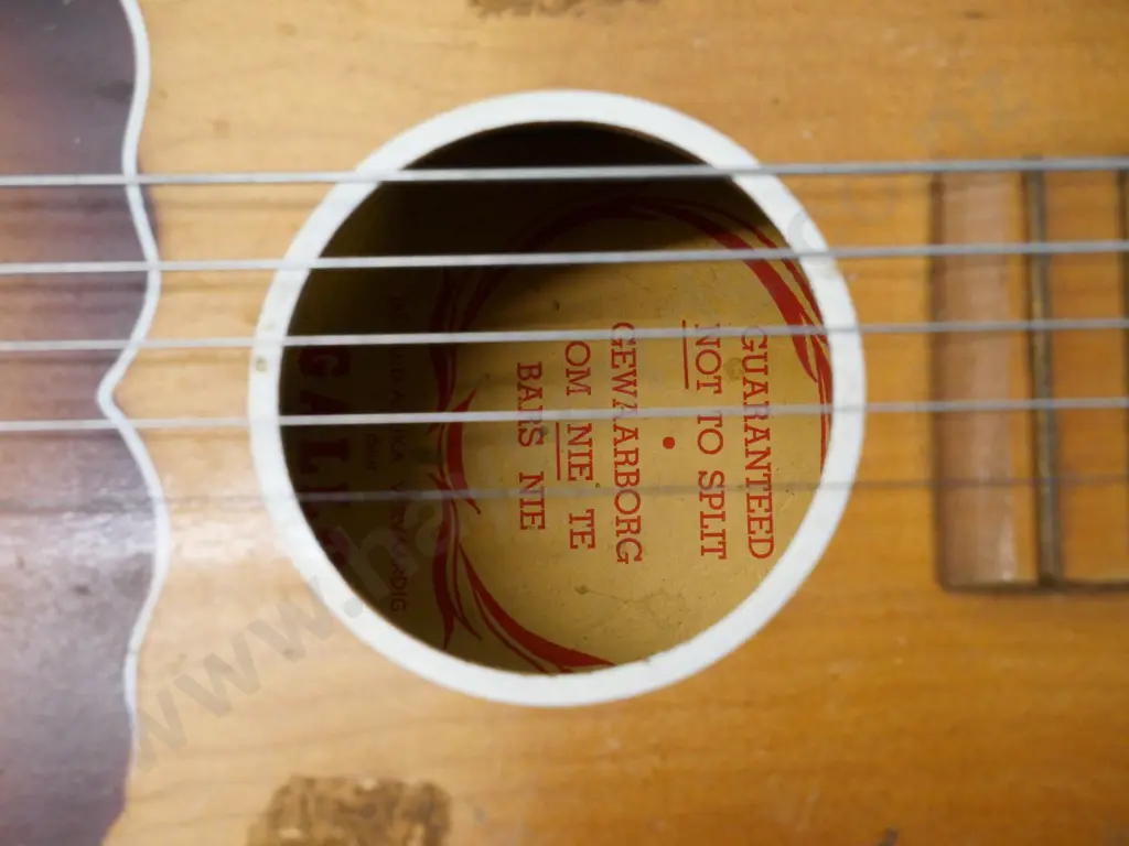 vintage Gallo Gallotone Champion acoustic guitar with case - small dents, wear and tear, small chip to nut Image 1++