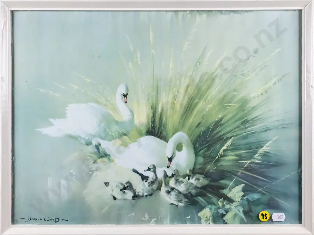 framed Vernon Ward print - swans H-280 W-380 Image 1++