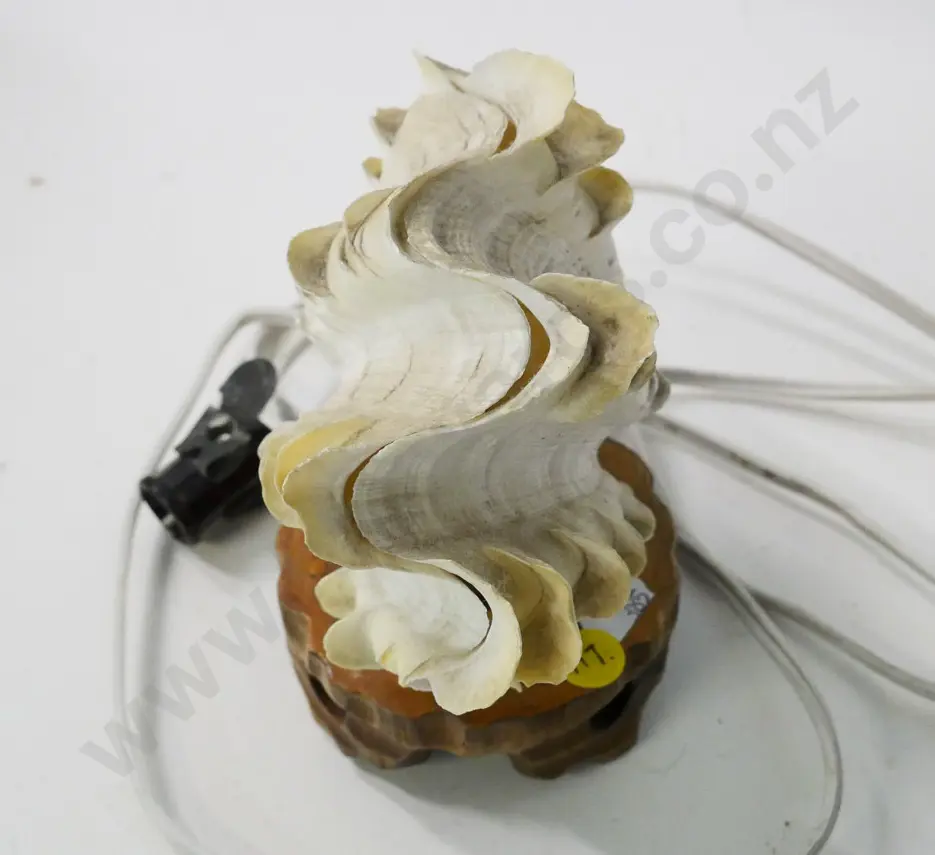 retro shell lamp on carved wooden base, no bulb H-140 Image 1++