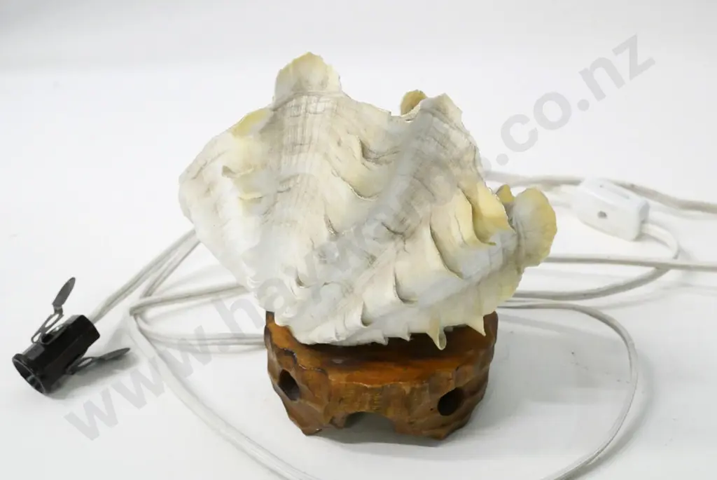 retro shell lamp on carved wooden base, no bulb H-140 Image 1++