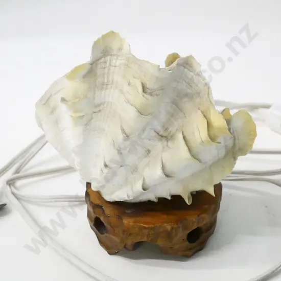 retro shell lamp on carved wooden base, no bulb H-140