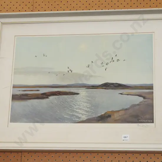 framed Peter Scott print - ducks over water