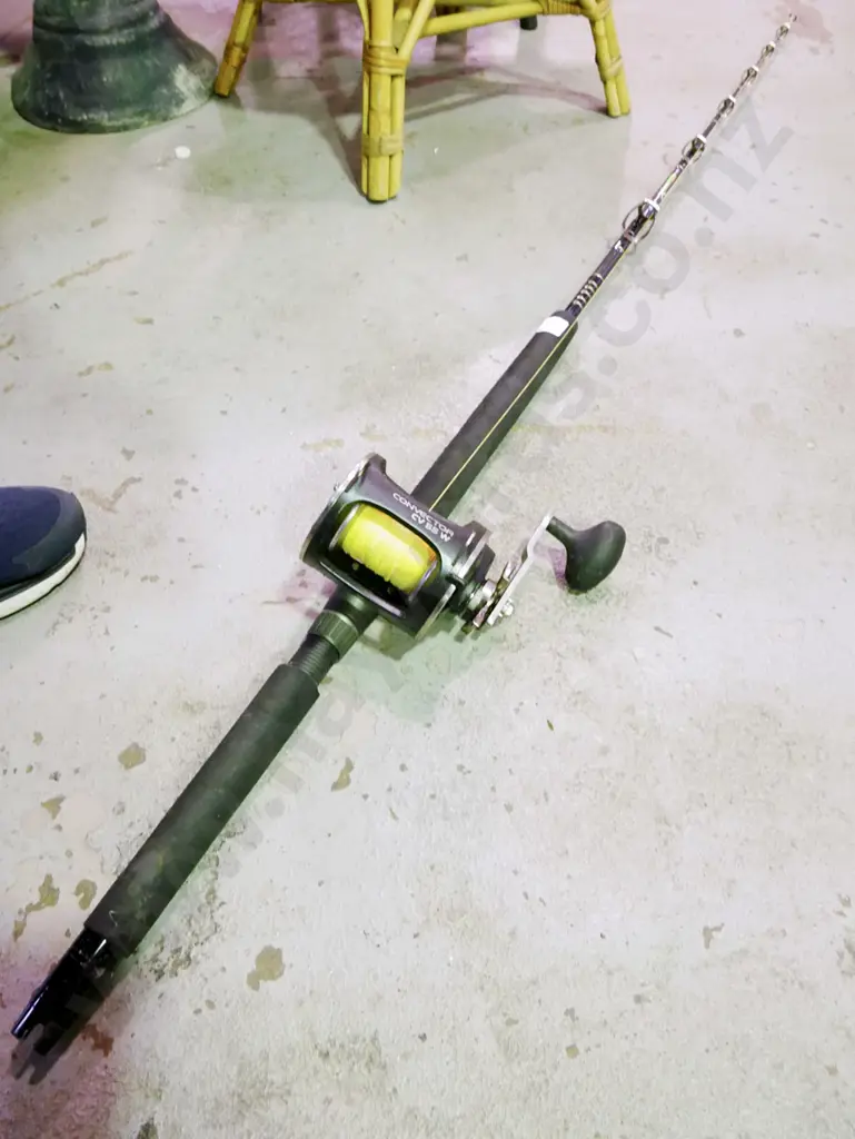 boat rod and reel Image 1++
