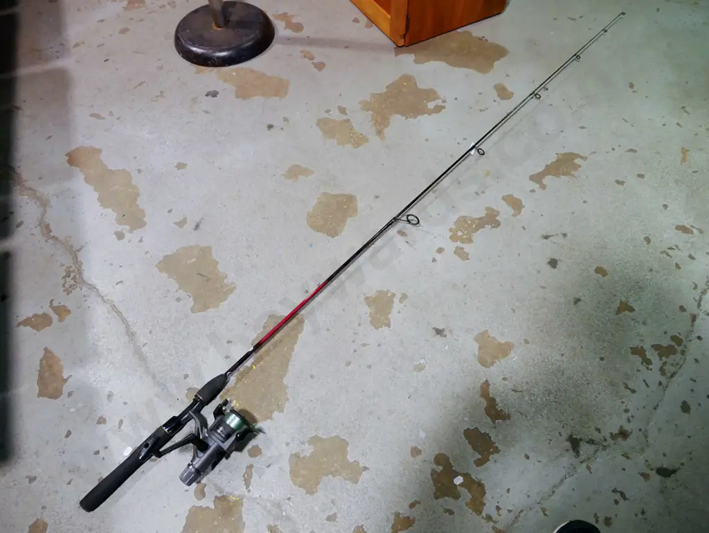 fishing rod and reel Image 1++