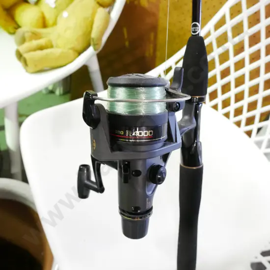 fishing rod and reel