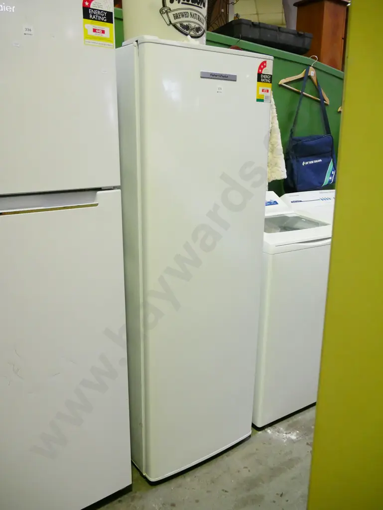 F&P upright freezer H-1590 W-530 D-540 Image 1++