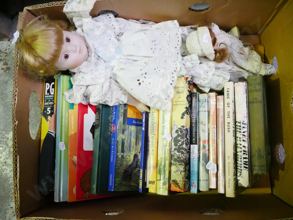 box; 2x dolls, books Image 1++