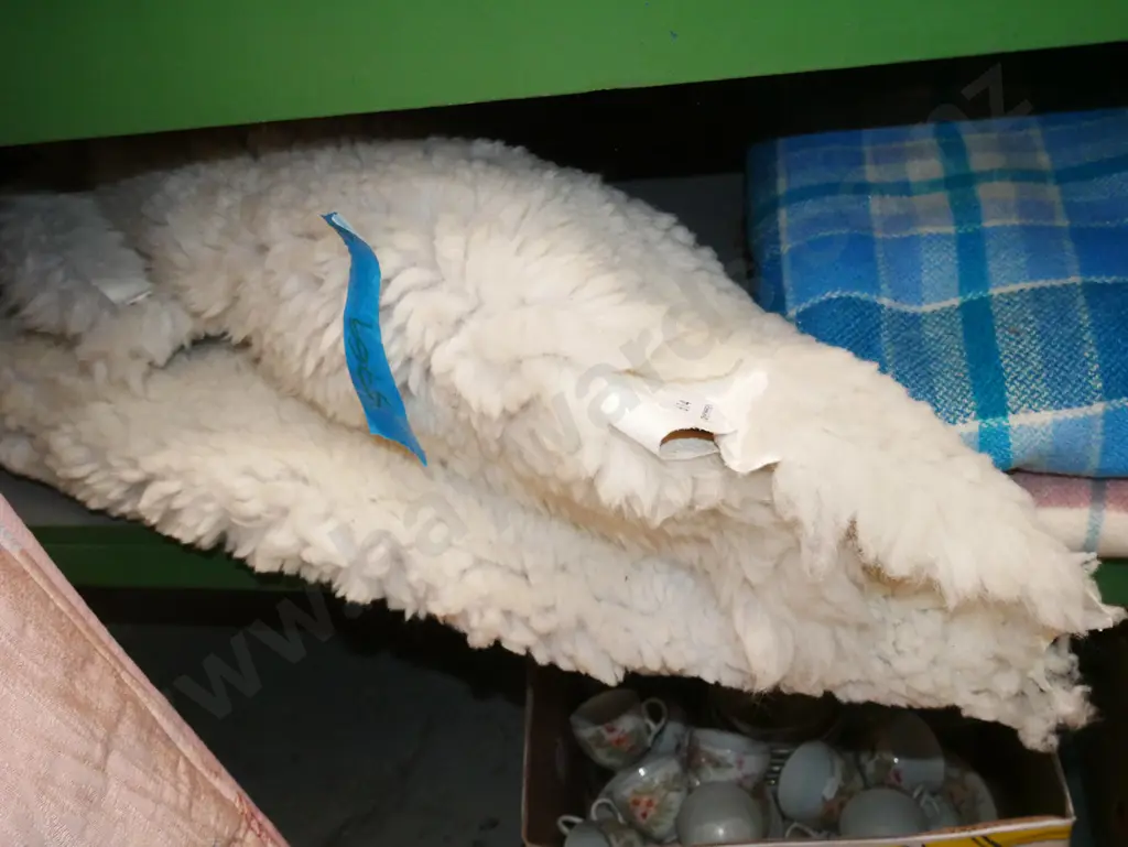 sheepskin Image 1++