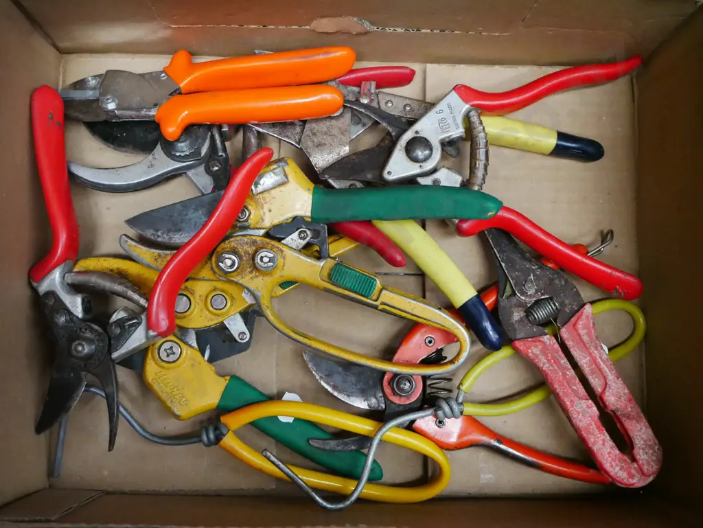 box; gardening implements Image 1++