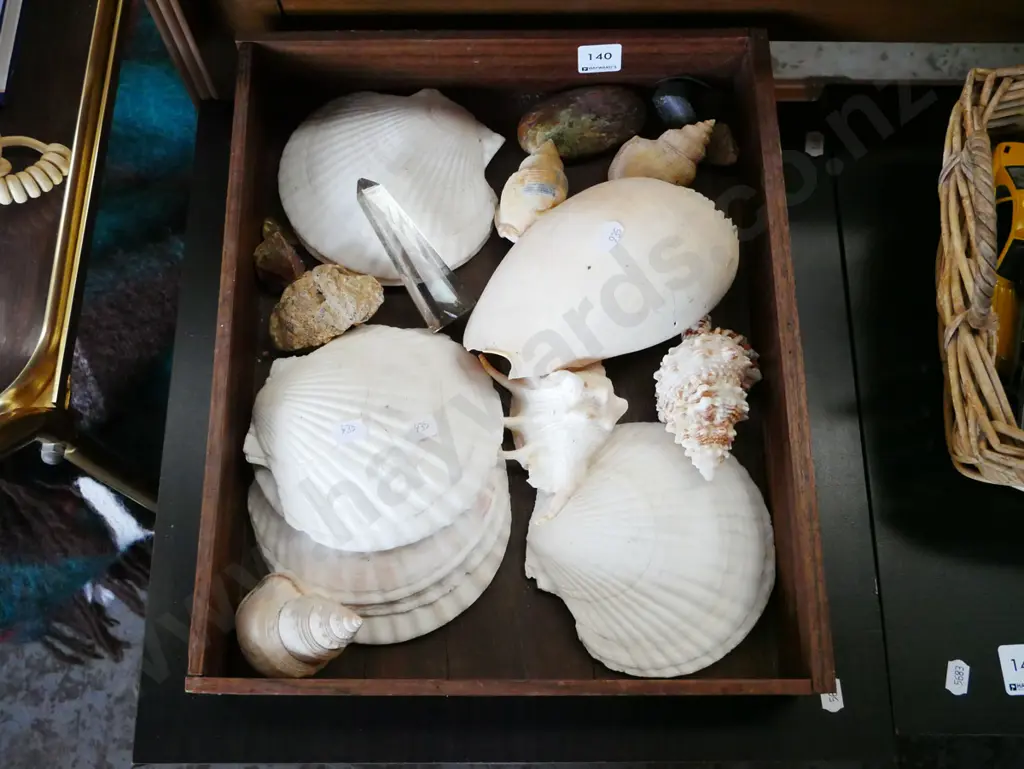 wooden tray; seashells, stones etc Image 1++