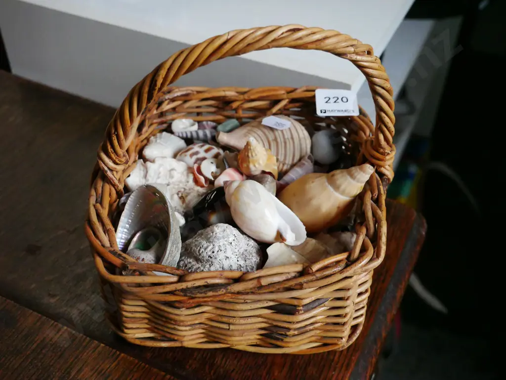 small cane basket of seashells Image 1++