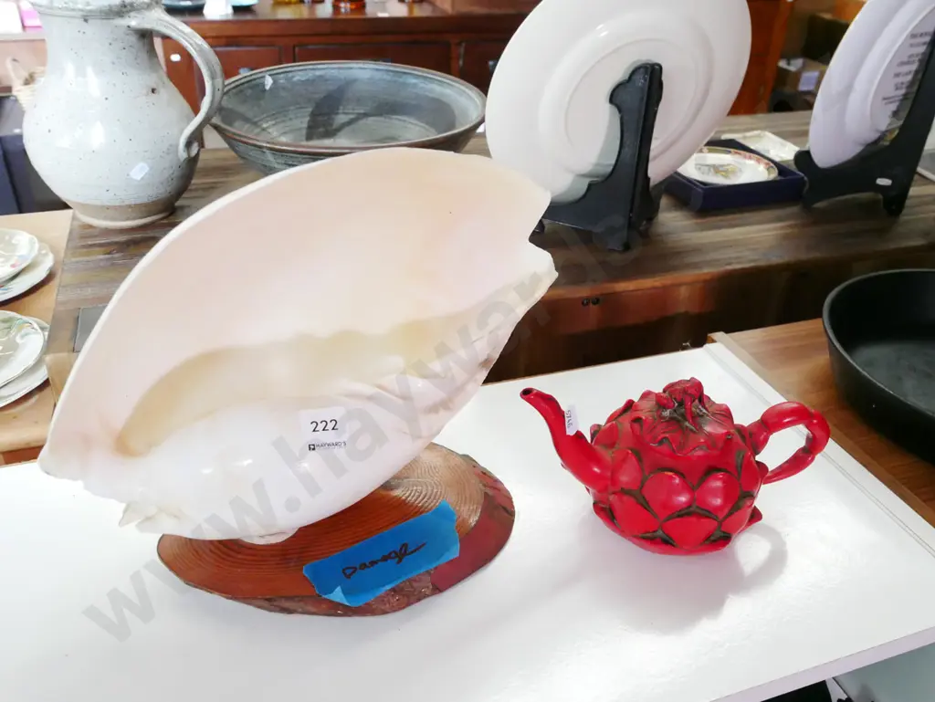 souvenir seashell on wooden base - damage, novelty frog themed teapot Image 1++
